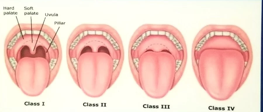 Anita Rathee, DDS Picture 4