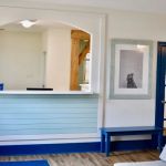 Bush Pediatric Dentistry