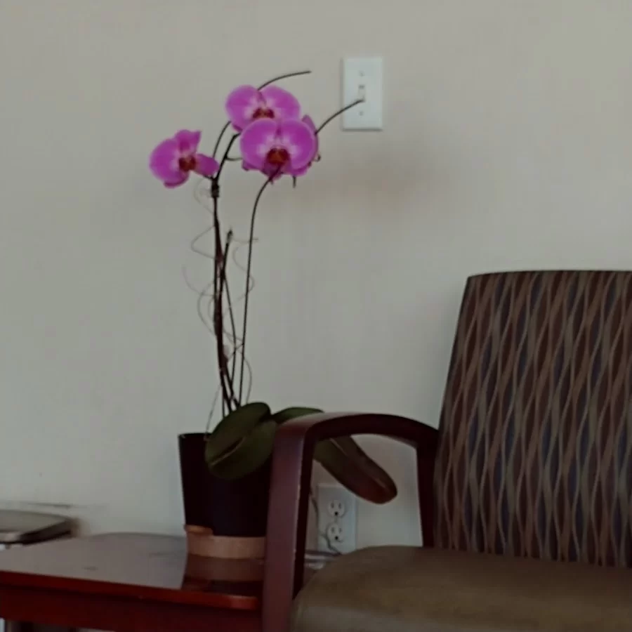 Baldwin Park Dental Center Picture 7