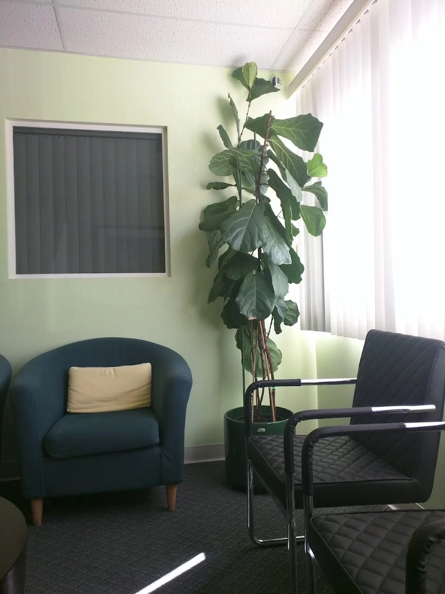 Apple Dental Center Picture 5