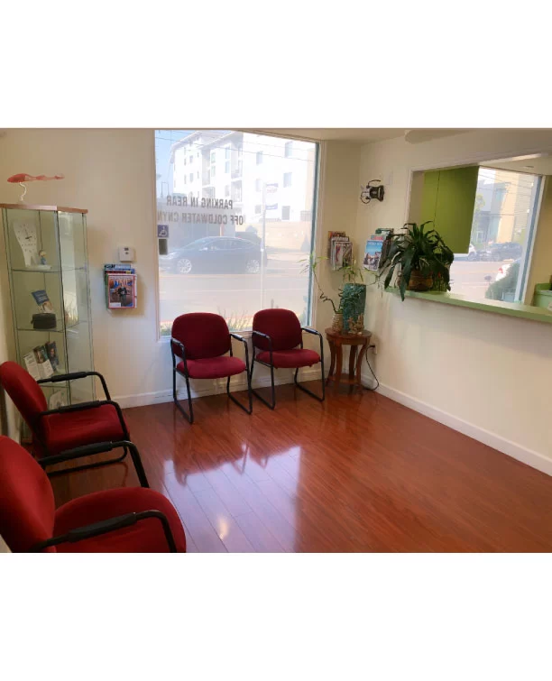 MGS Dental Dr. Marina Galstian, DDS Picture 2