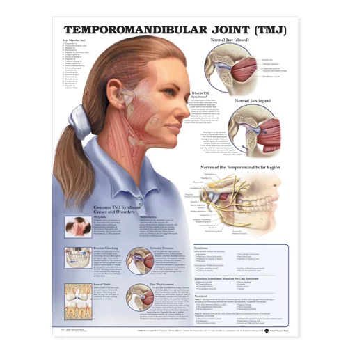 Dental Injury Center Picture 5