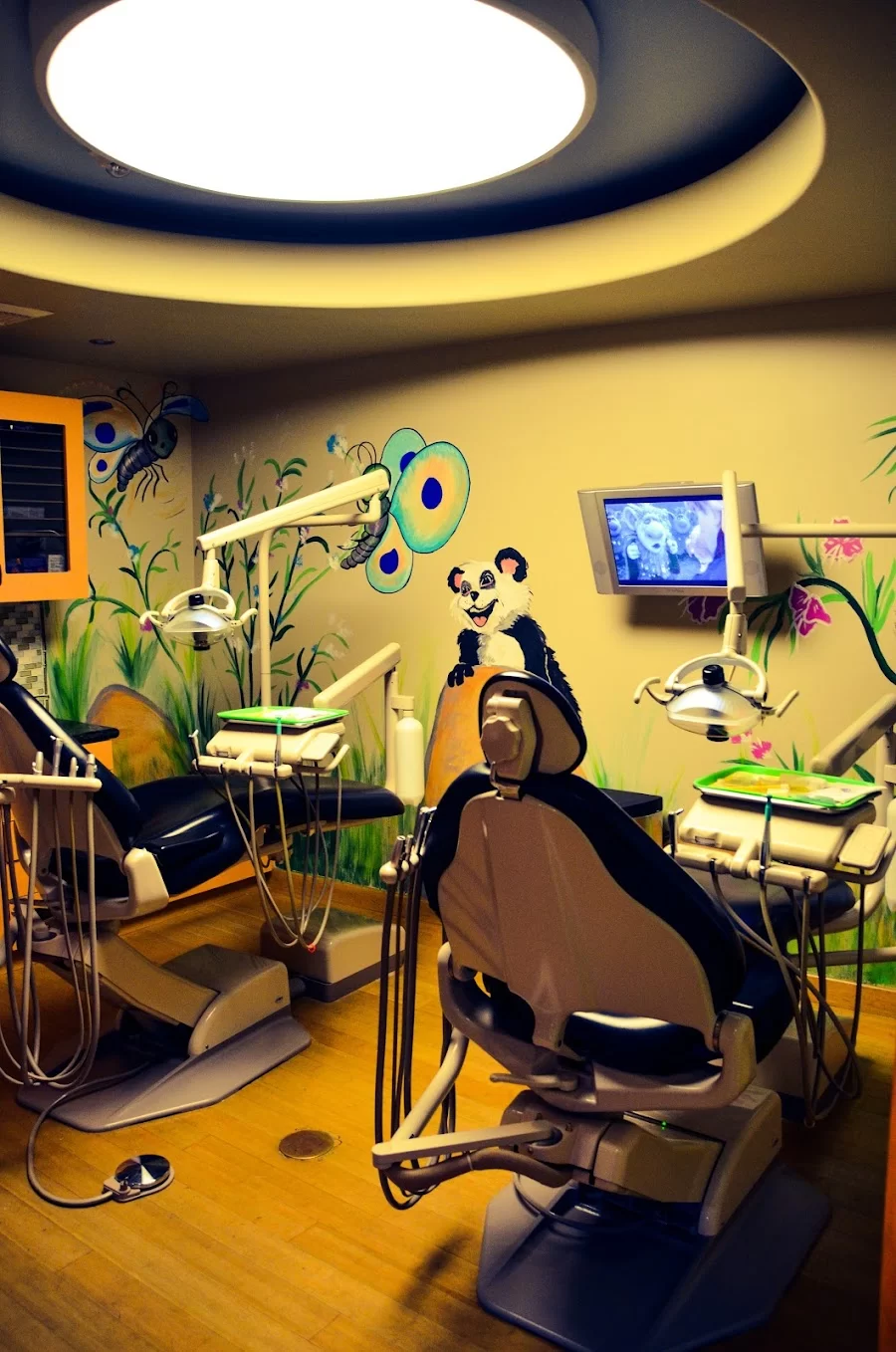 Dr. Janelle Holden, DDS Picture 8