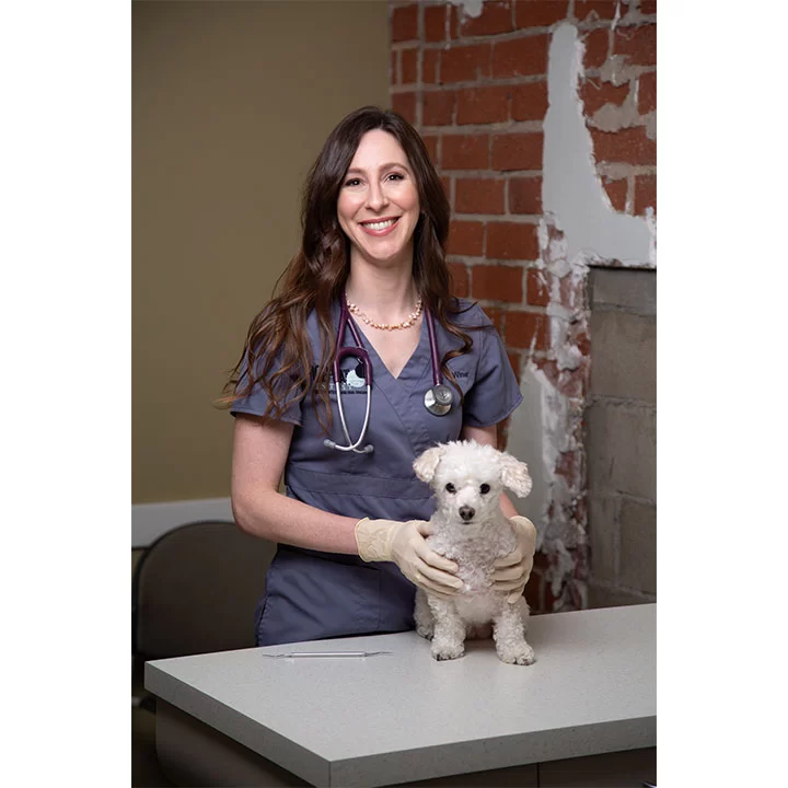 Dog and Cat Dentist, Inc. Picture 5