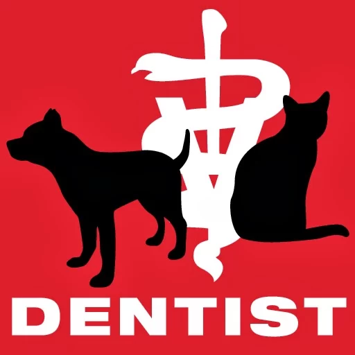 Dog and Cat Dentist, Inc. Picture 2