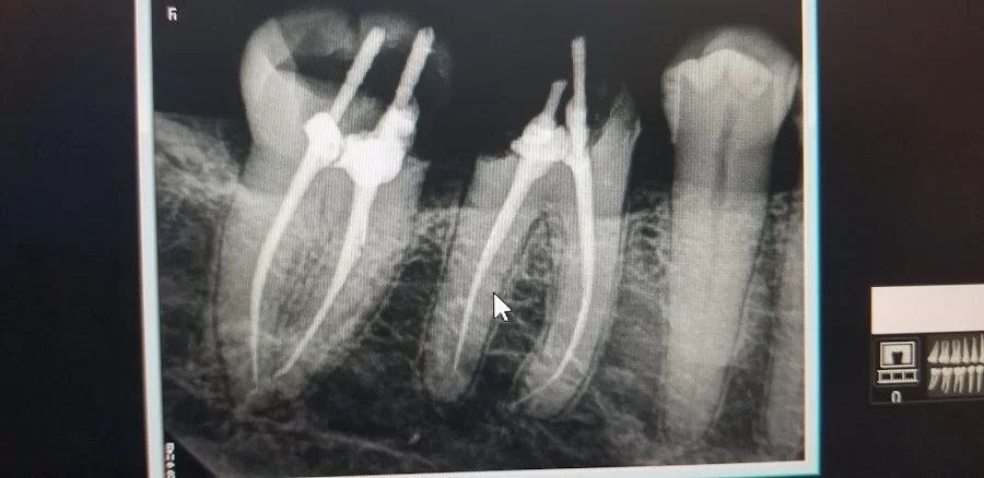Professional Dental Center Picture 2