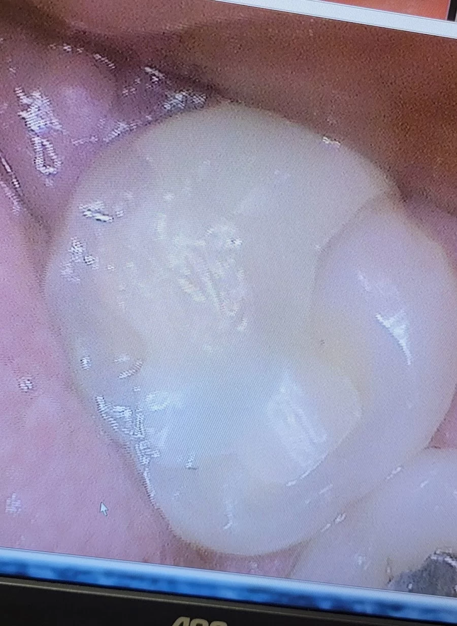 Western Dental & Orthodontics Picture 10