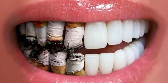 The Impact of Smoking on Oral Health and Ways to Prevent Damage