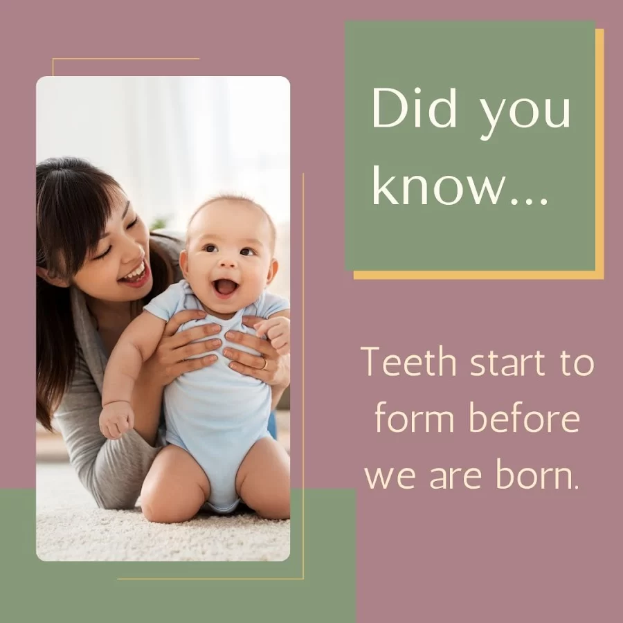 Reseda Northridge Family Dental | Gradinger DDS & Ebrahimi DDS Picture 2