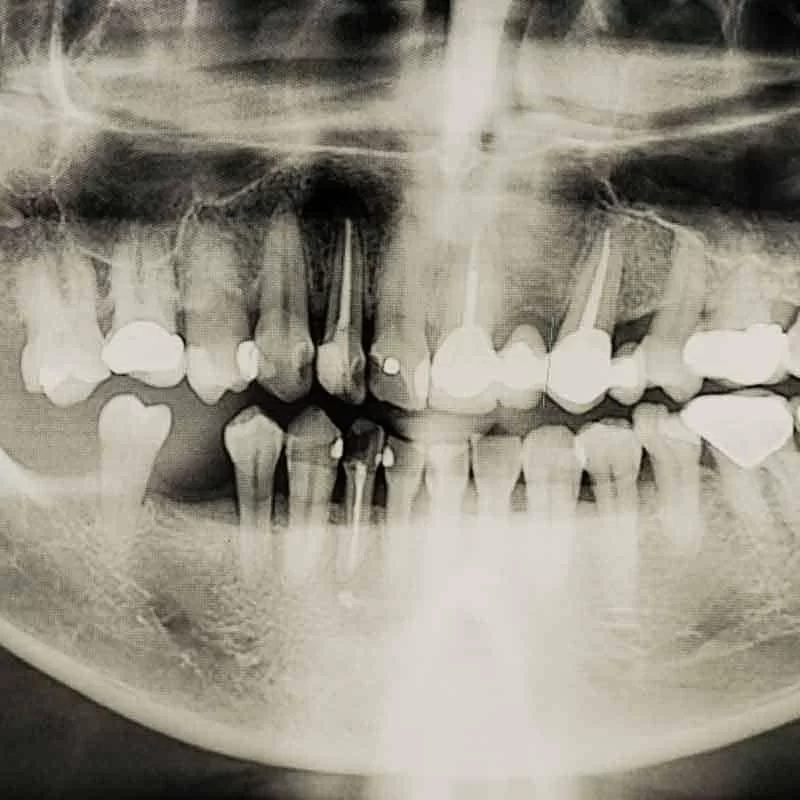 Smooth Dental and Orthodontics Picture 7