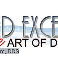 Created Excellence Fine Art ico