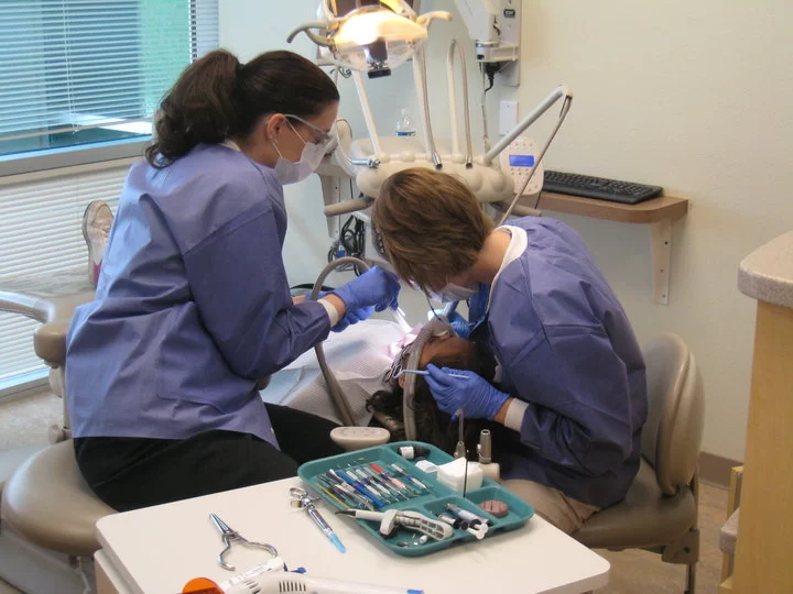 Valley Pediatric Dentists Picture 4