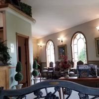 Alligator Pediatric Dentistry ico