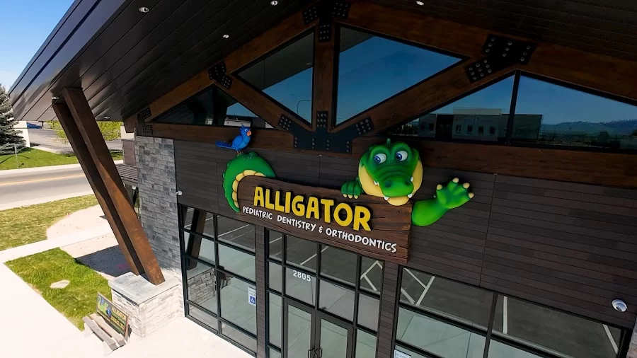 Alligator Pediatric Dentistry Picture 2
