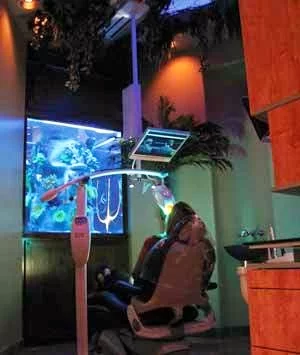 Exceptional Dentistry - Dentist in Gilbert AZ Picture 3