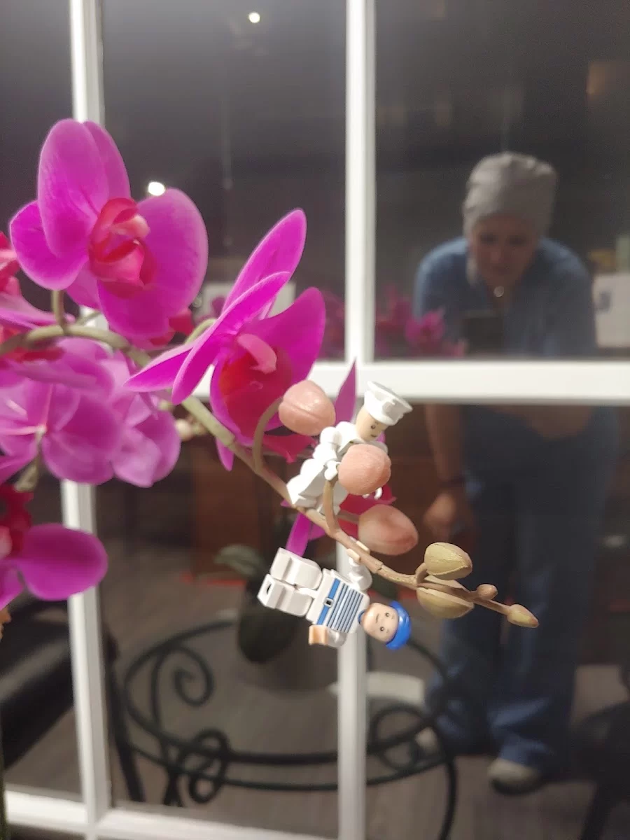 Compassion Family Dentistry Picture 7