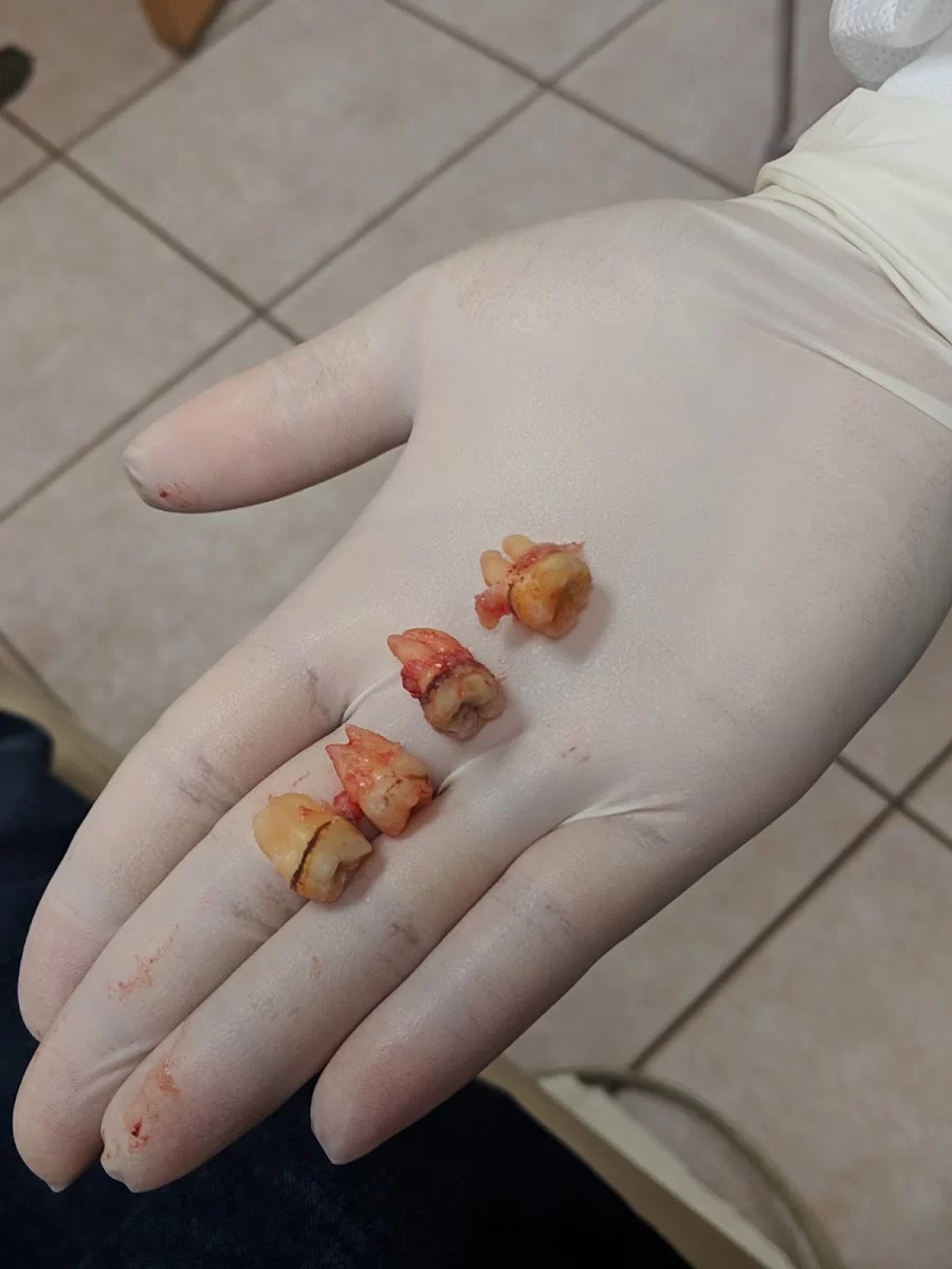 American Dental Picture 4