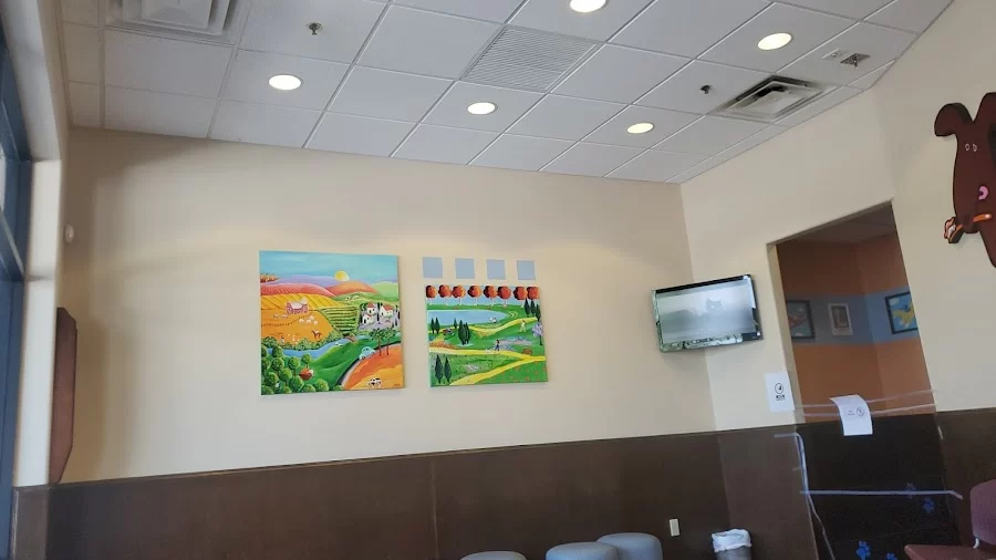 Dentistry For Children Picture 1