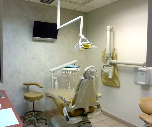 Dr. Shima Zaeimzadeh Picture 1