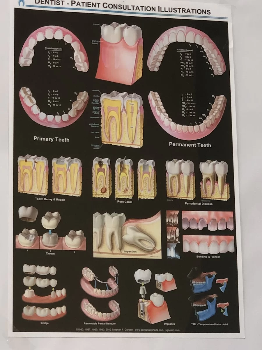 Dental Dreams-Cermak Picture 6