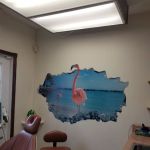 Dr. Fleer Orthodontics