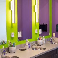 Veil & Wild Orthodontics ico