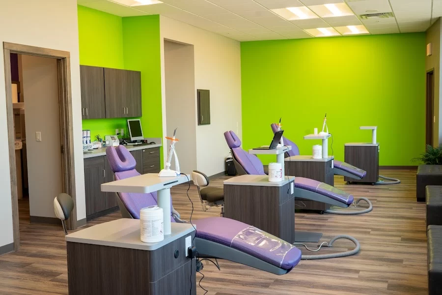 Veil & Wild Orthodontics Picture 4