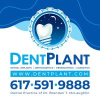 DentPlant ico