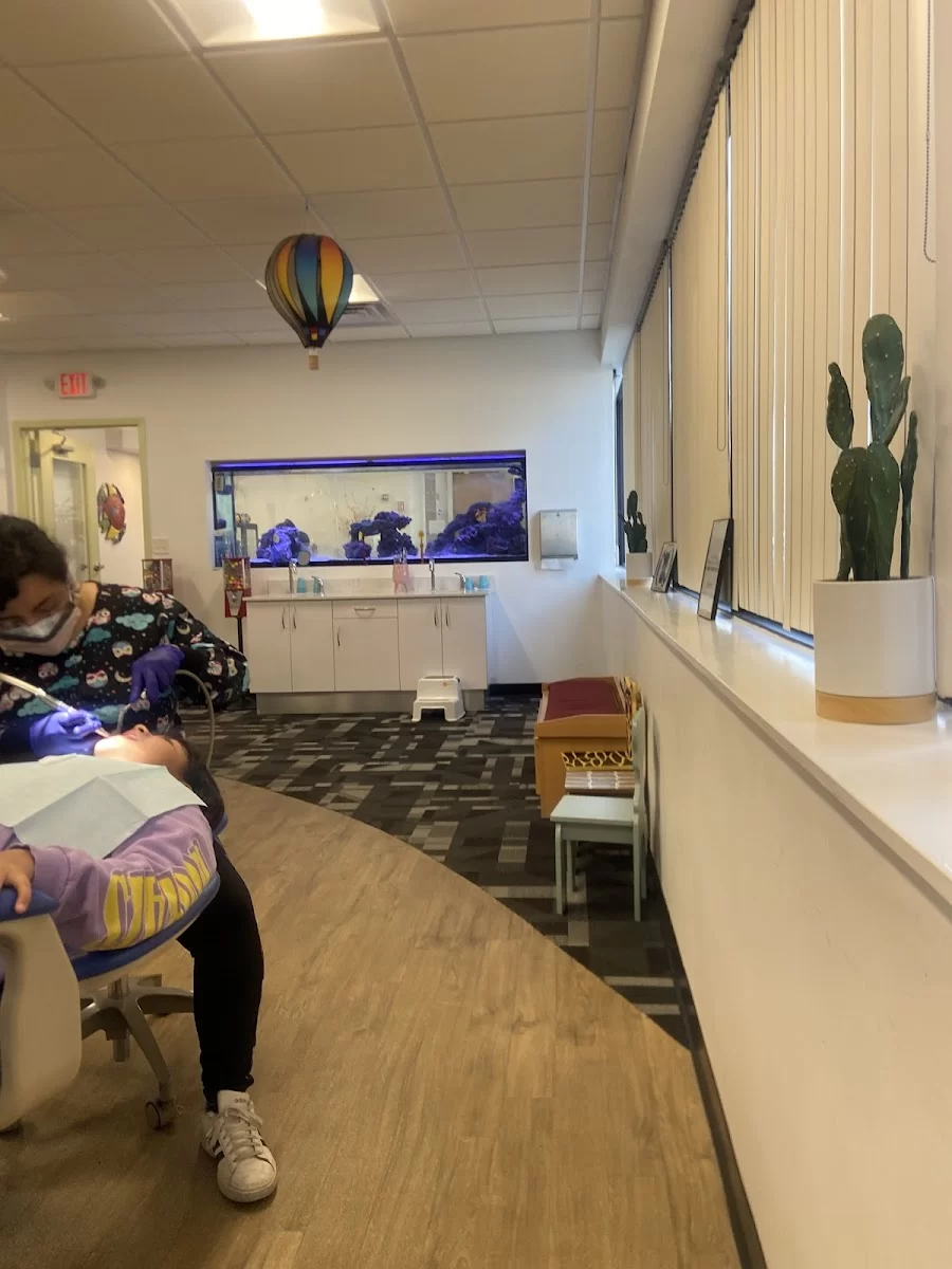 Everett - Chelsea Childrens Dental Picture 7