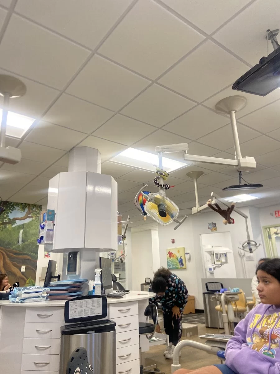 Everett - Chelsea Childrens Dental Picture 8