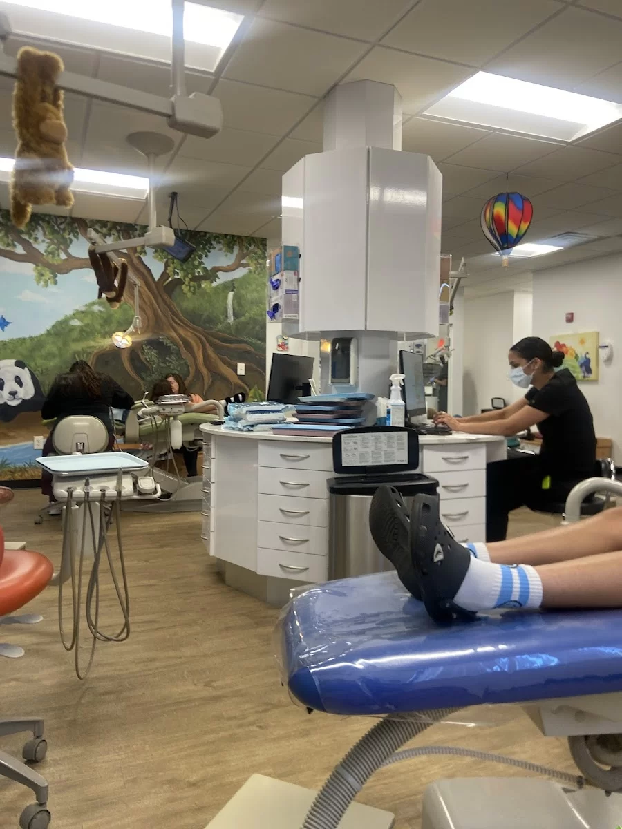 Everett - Chelsea Childrens Dental Picture 9