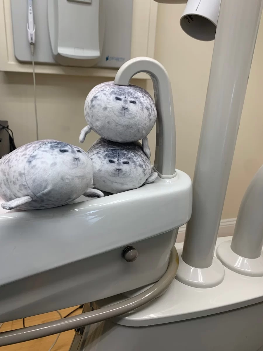 West Somerville Dental Associates Picture 9