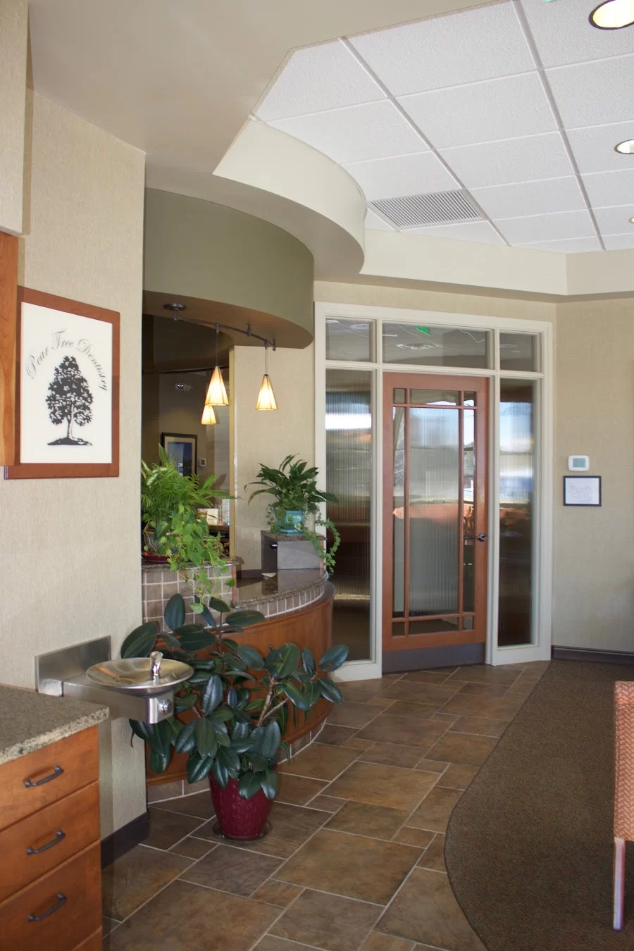 Pear Tree Dentistry / John Skvorak Jr / John Skvorak III Picture 6