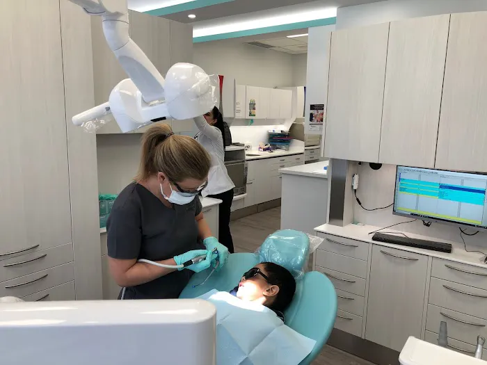 DentiFlow Dentistry Picture 4