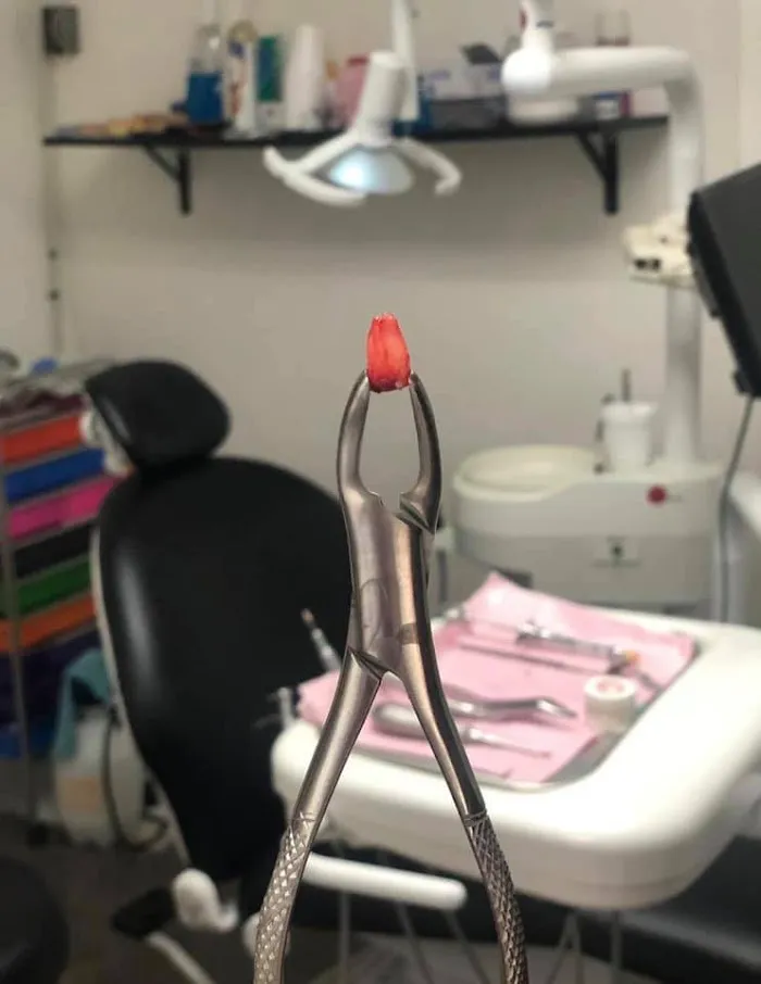 Clínica Dental Funnydent ( Dentistas en Matamoros ) Picture 1