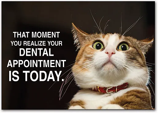 St Cloud Family Dental Picture 2