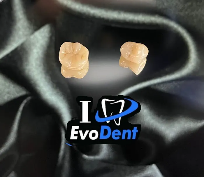 EVO-DENT Picture 7