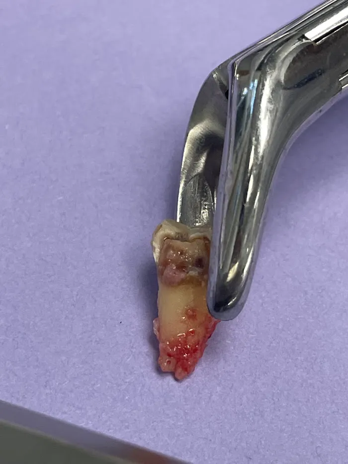 Village Dental of Wayne Picture 5