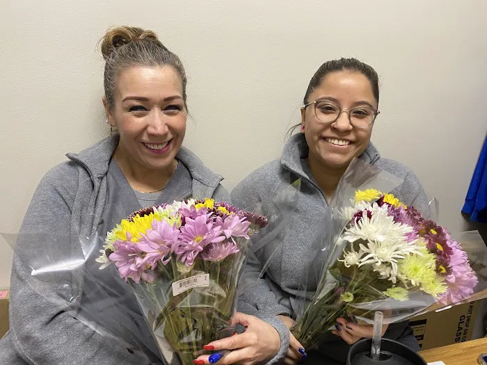 Oak Park Dental Studio Picture 3