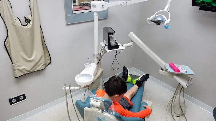 Whole Life Dentistry Picture 6