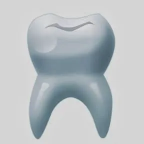 Dr. Danute E Abriani DDS Picture 2