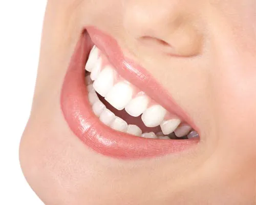 Premier Dental Associates Inc Picture 4