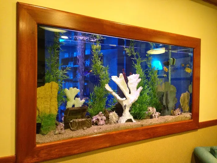 Strongsville Center for Cosmetic & Implant Dentistry Picture 3