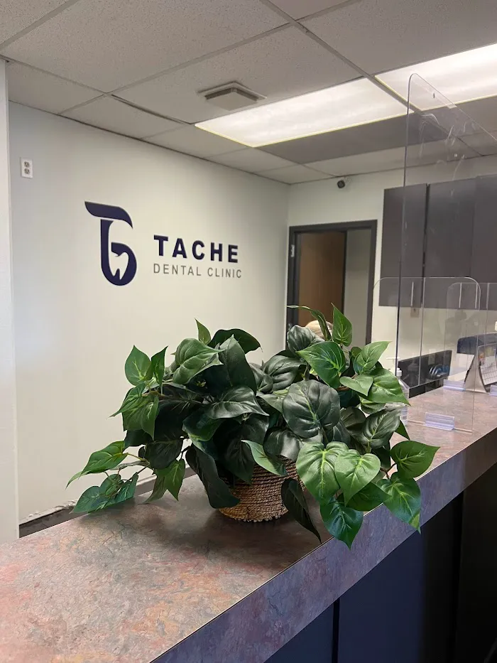 Tache Dental Centre Picture 9