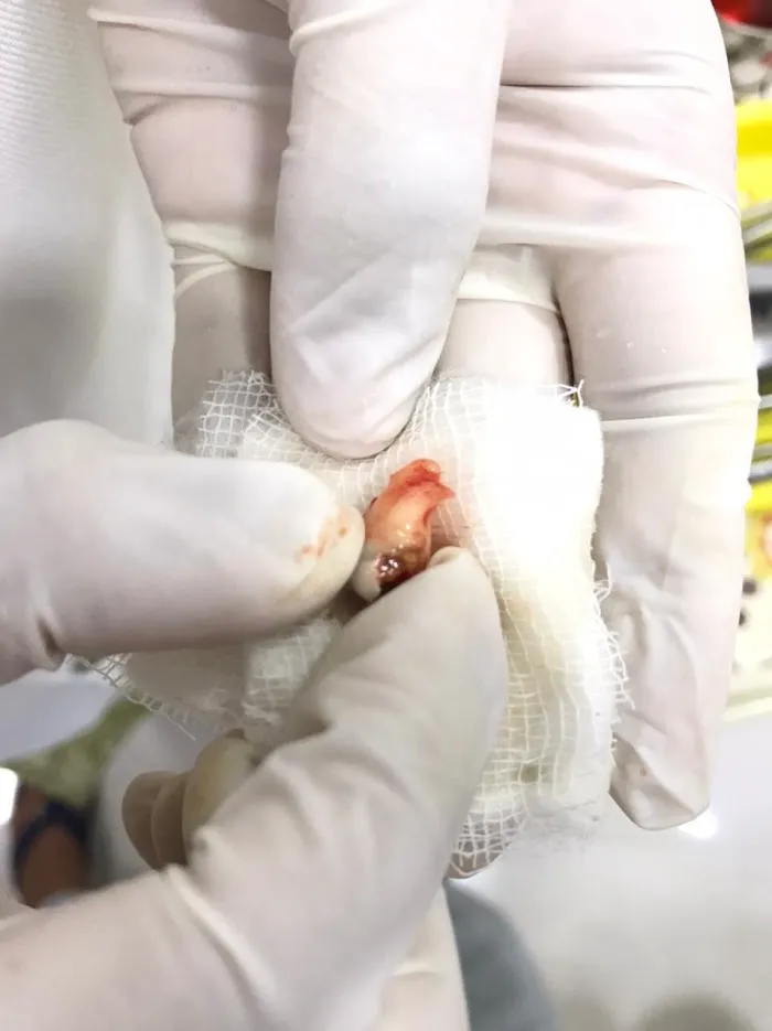 Dentorbit Dental Clinic Picture 7