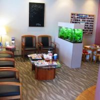 Midwest Dental - St Louis ico