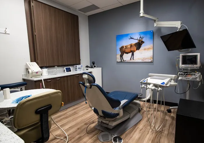 Elevated Dental Picture 2