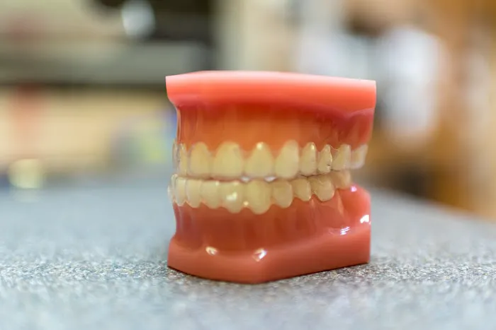 Solon Dental Excellence Picture 4