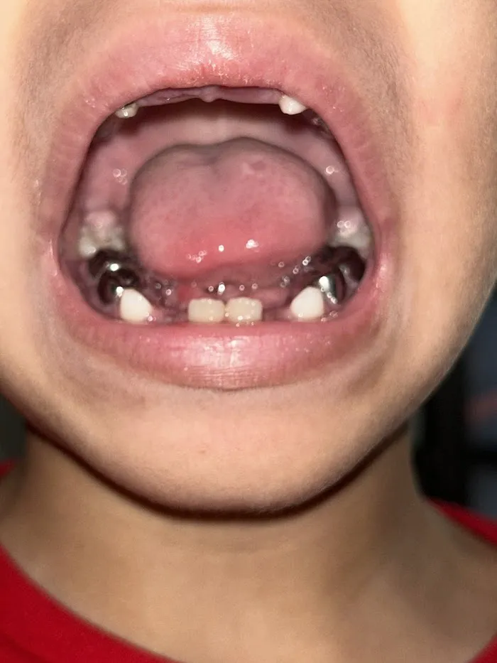 Division Dental Clinic Picture 4