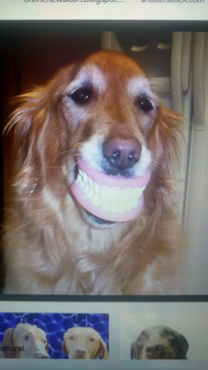 Crested Oak Dentistry Picture 1